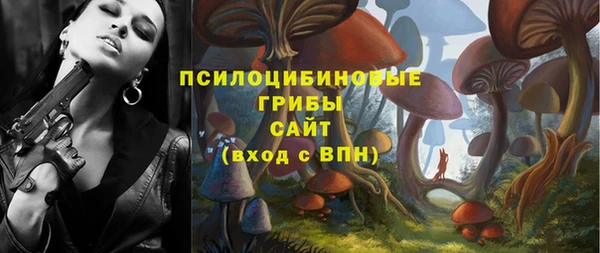 марки lsd Богданович
