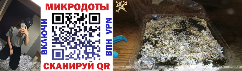 Псилоцибиновые грибы прущие грибы  Окуловка 